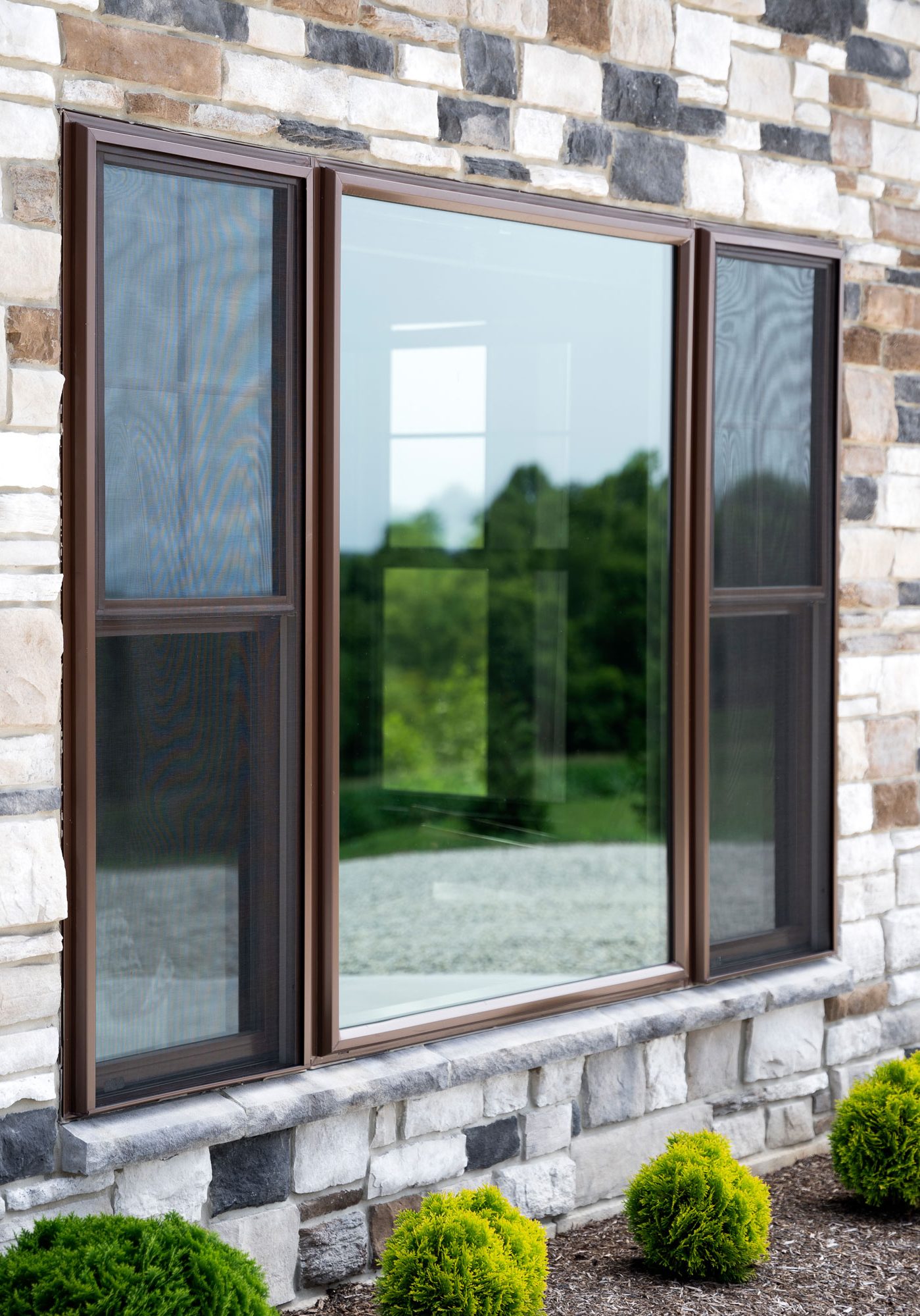 provia windows
